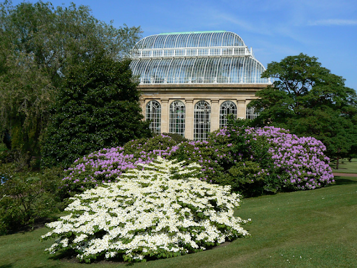 Top 10 free things to do in Edinburgh 9 Royal Botanic Garden